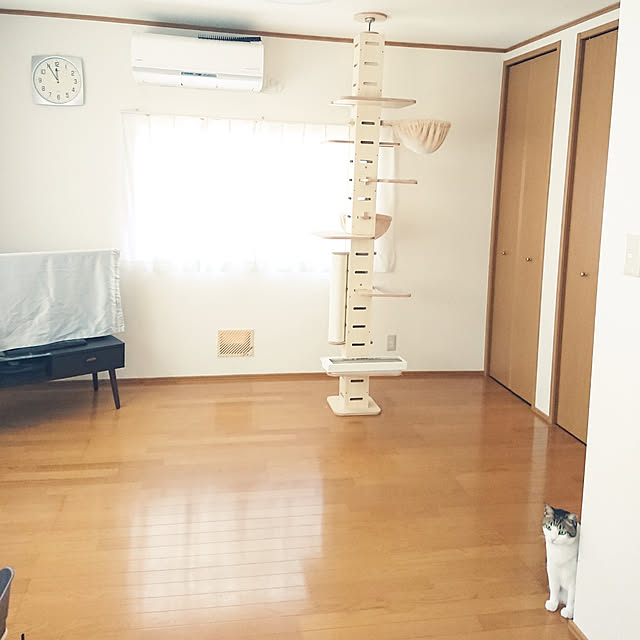 nachiさんの実例写真