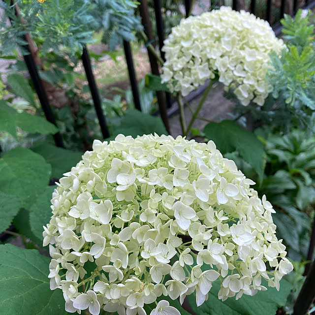 mamaさんの実例写真