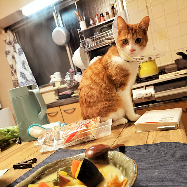 unkoさんの実例写真