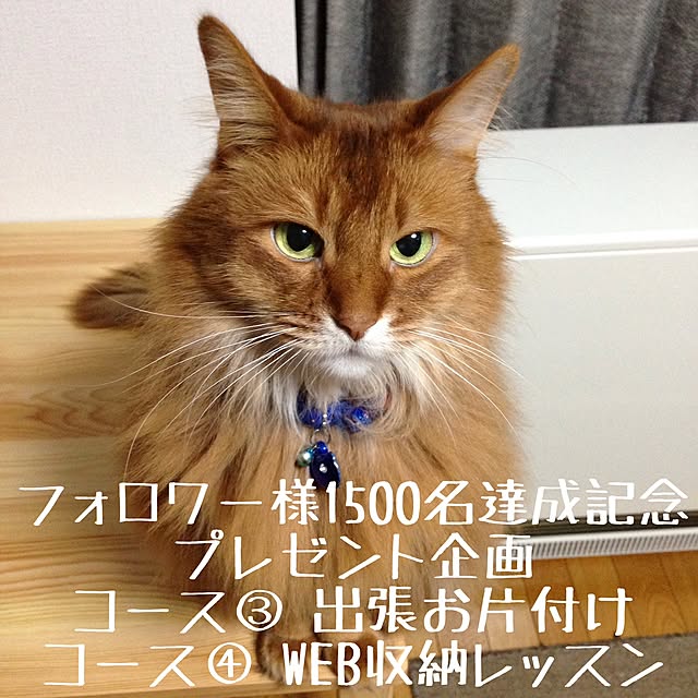 yukinoさんの実例写真