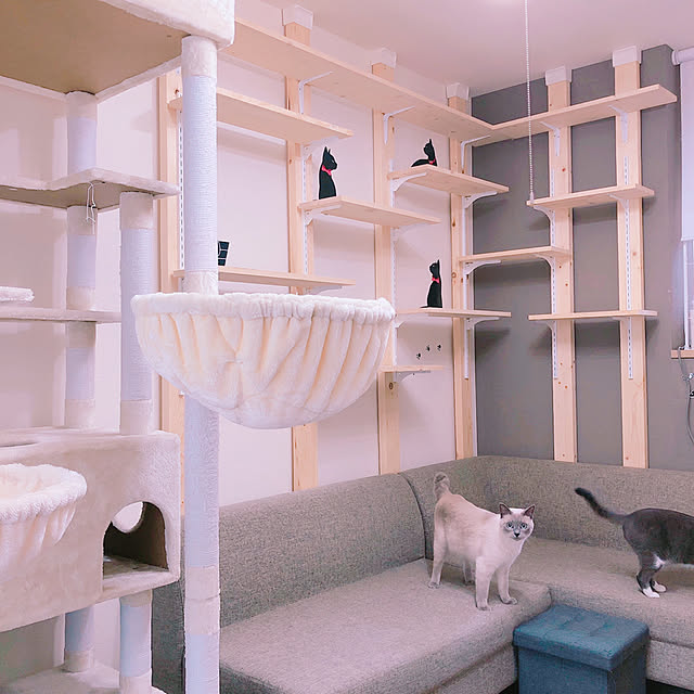 キャットタワー 猫と暮らすのおすすめ商品とおしゃれな実例 キャットタワー 猫と暮らすのおすすめ商品とおしゃれな実例