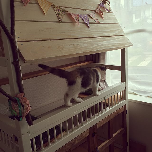 bambi_eyeさんの実例写真