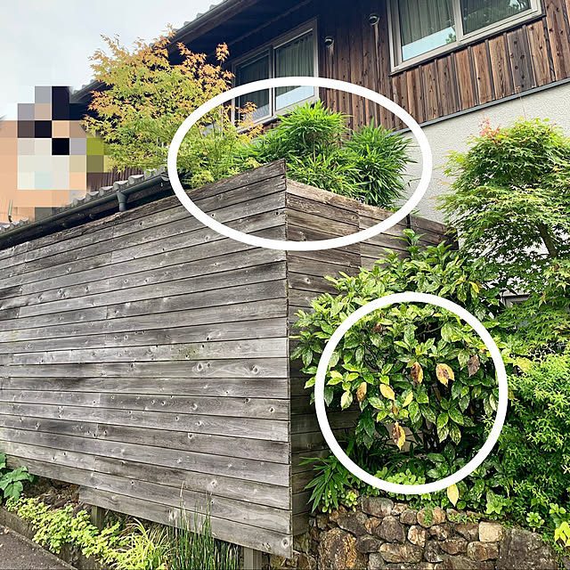 onsix777さんの実例写真