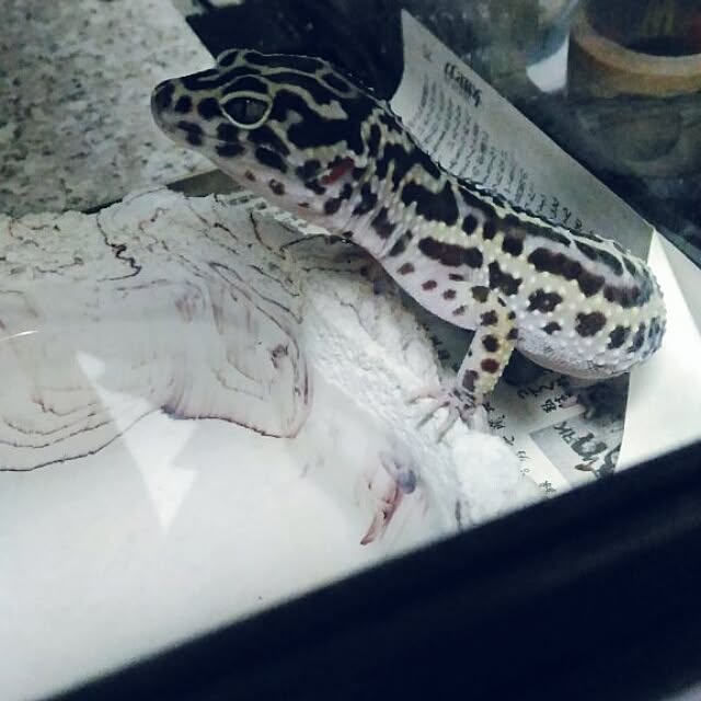 emokid00002さんの実例写真