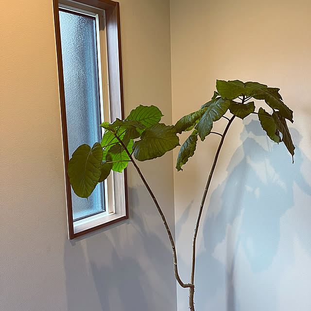 seiさんの部屋