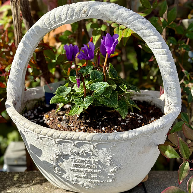 asako.10さんの部屋