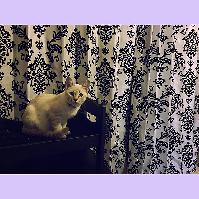 KATE666さんの実例写真