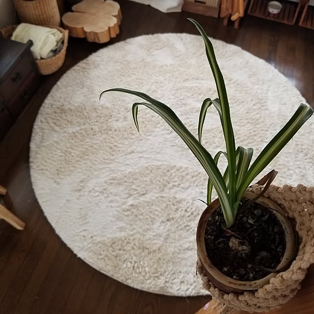 midoriさんの部屋