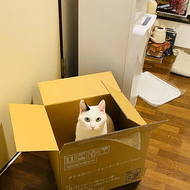 YUKAさんの部屋