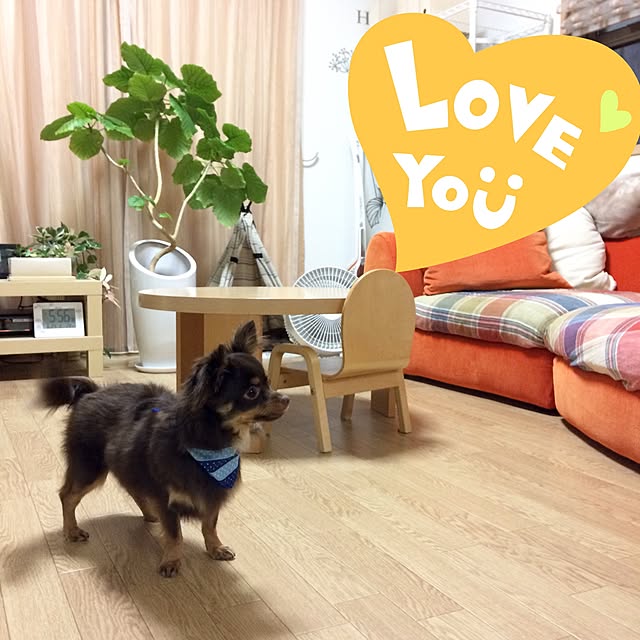 miyuさんの実例写真