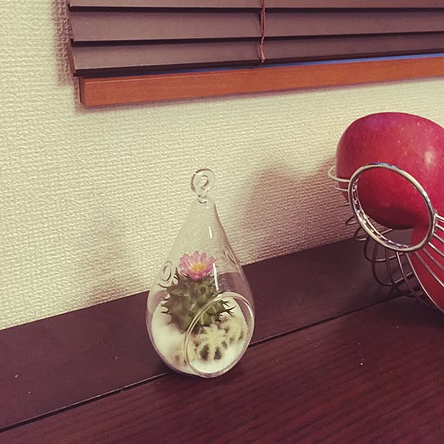 hollyさんの実例写真