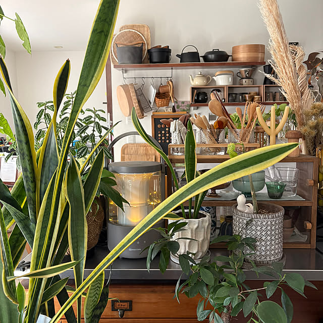 kojimasaさんの実例写真