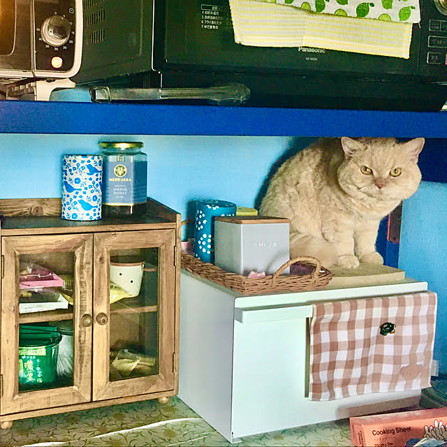naokoさんの部屋