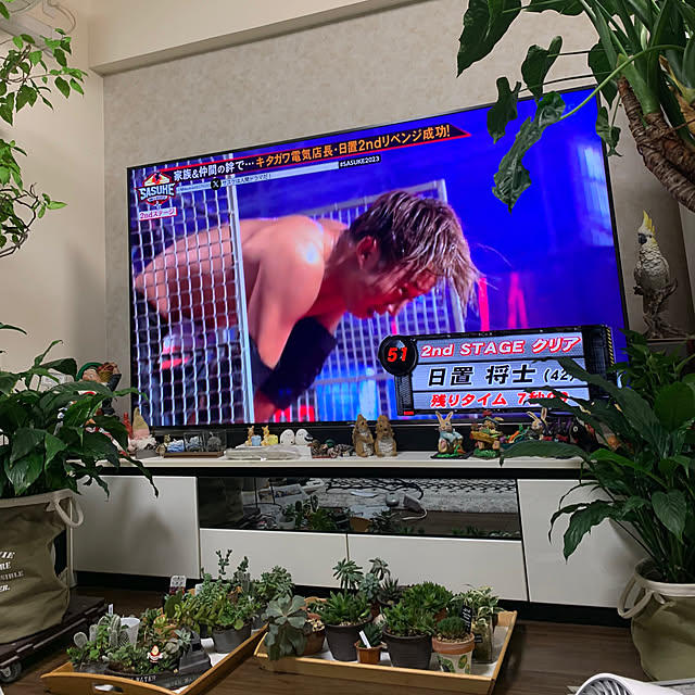 Aqettyさんの部屋