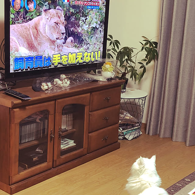 aKariさんの実例写真