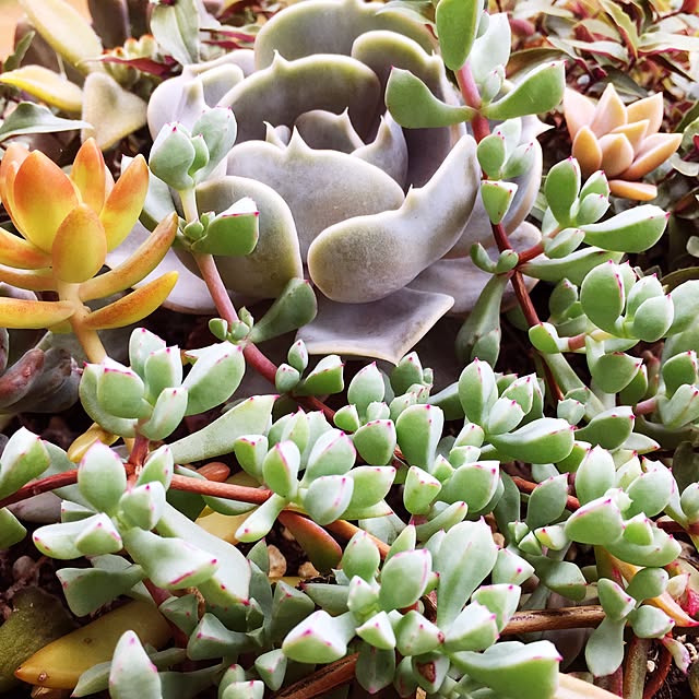 bimoさんの実例写真