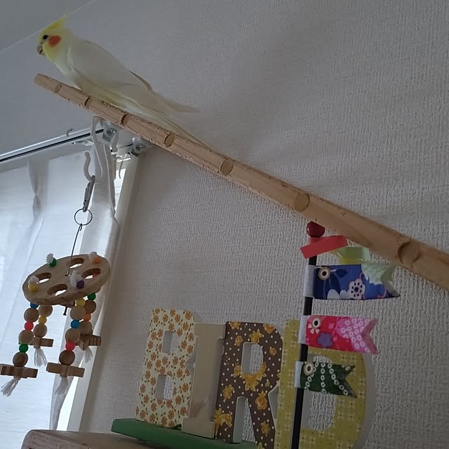 toratanさんの部屋