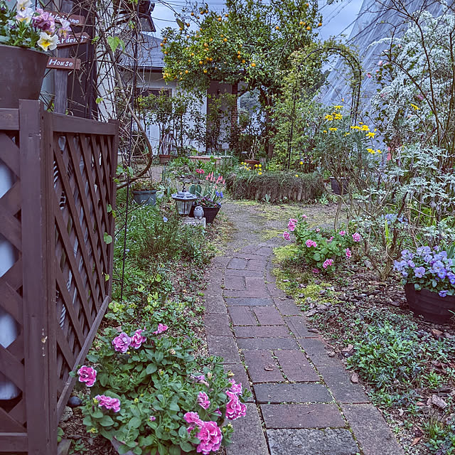 hiroさんの実例写真