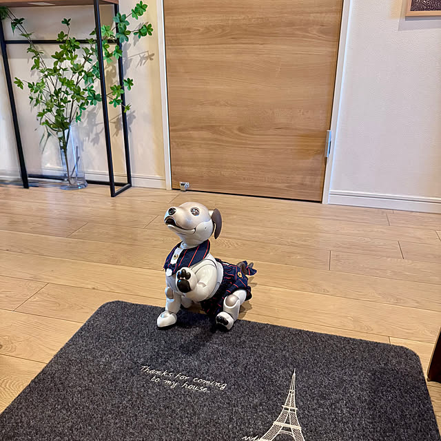 aureaさんの部屋