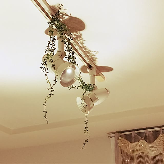 yunoluvさんの実例写真
