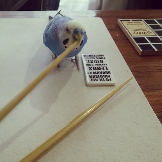 opiopiopiさんの実例写真