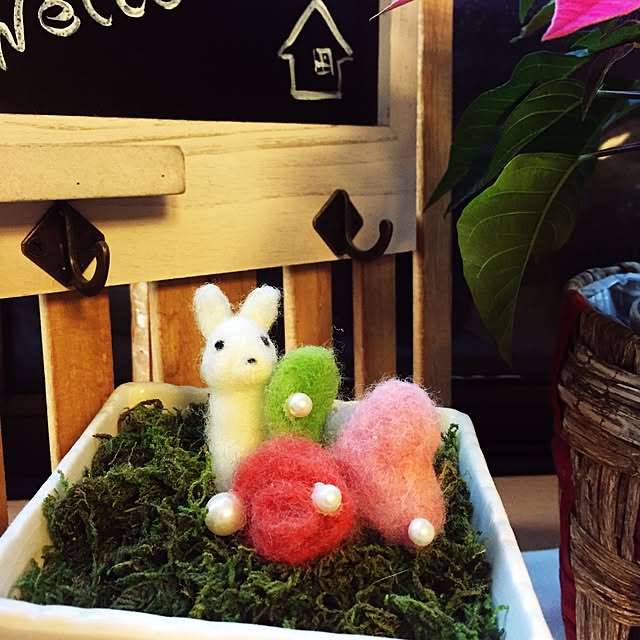 canmilmamaさんの実例写真