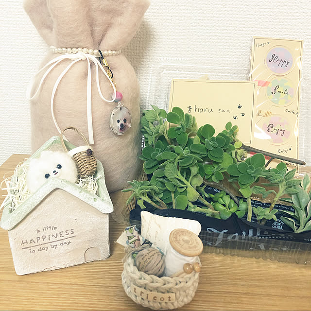 haruさんの実例写真