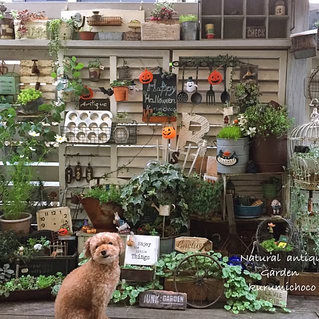 kurumichocoさんの実例写真
