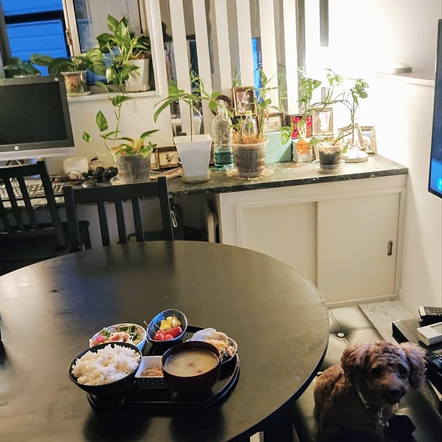 MOMOMAMAさんの実例写真
