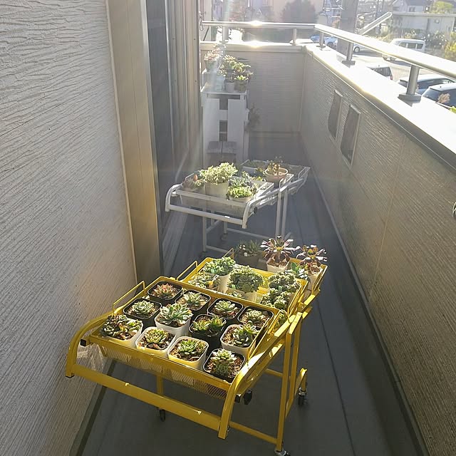 meiさんの部屋