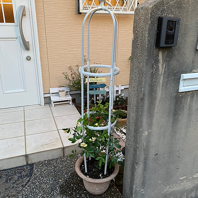 zuccoさんの実例写真