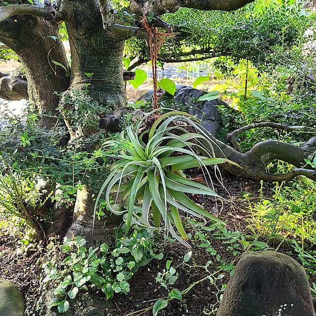 Rubiconさんの部屋