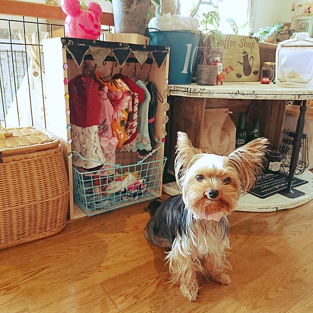 akiさんの実例写真