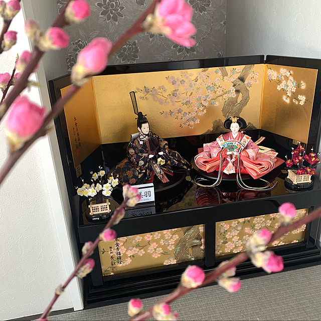 hapikoさんの実例写真