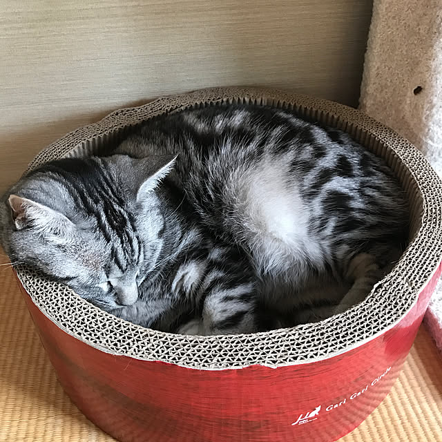rurimokaさんの実例写真