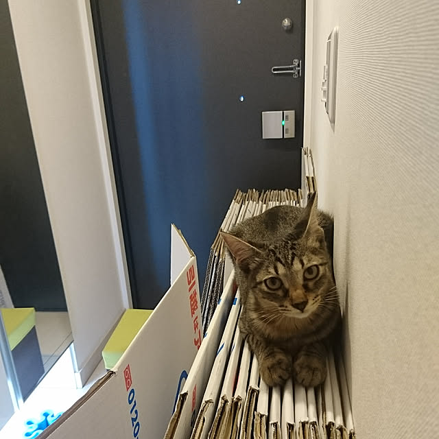 Etsukoさんの実例写真