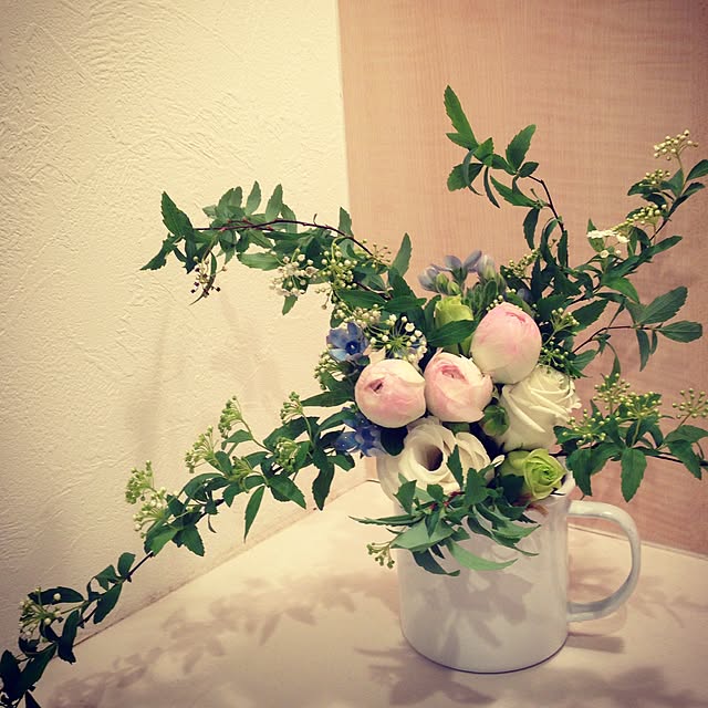 玄関/入り口/植物のインテリア実例 - 2015-02-17 20:58:29