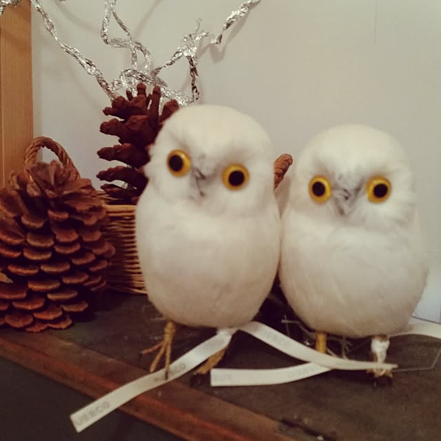 sun-sun.helloさんの実例写真
