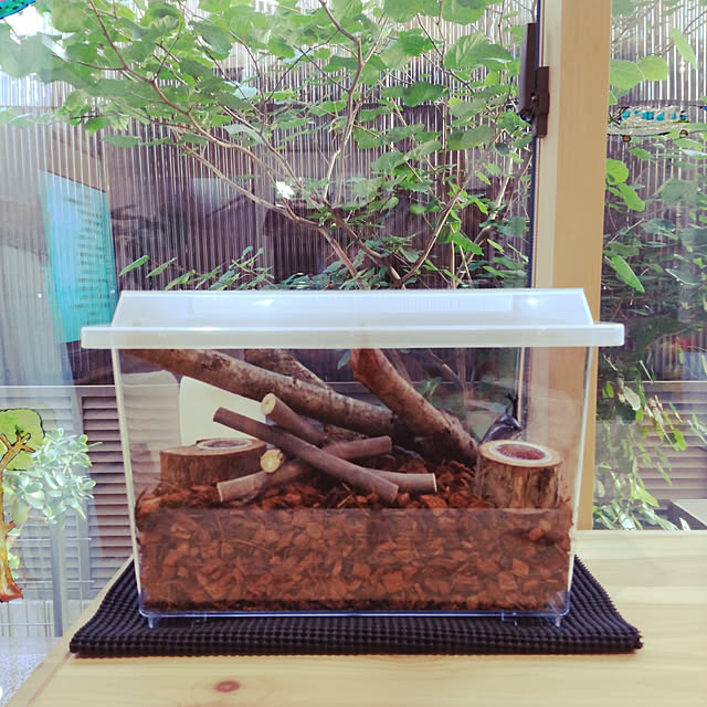 masaさんの実例写真