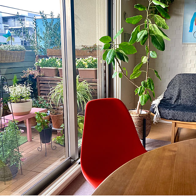 marukoさんの部屋