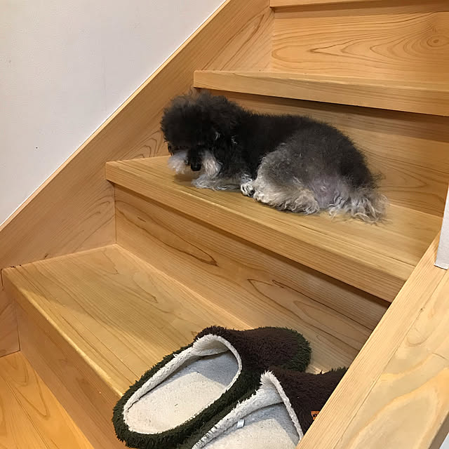 mtktr04さんの実例写真