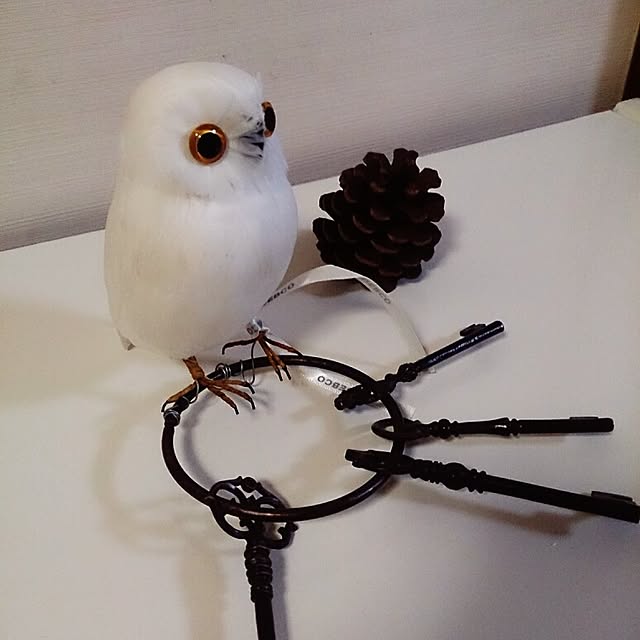 okayu_さんの実例写真