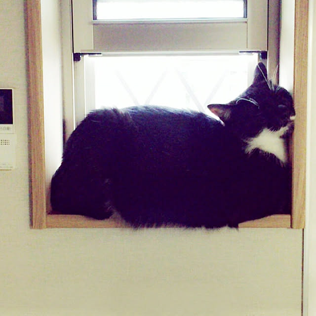 kirakirahikaru814さんの実例写真