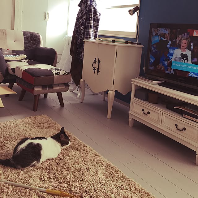 Shihoさんの実例写真