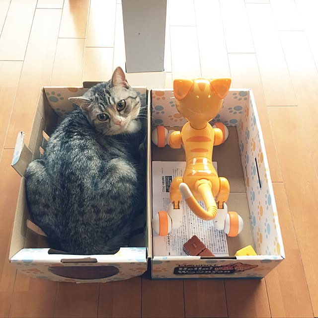 Shojiさんの実例写真