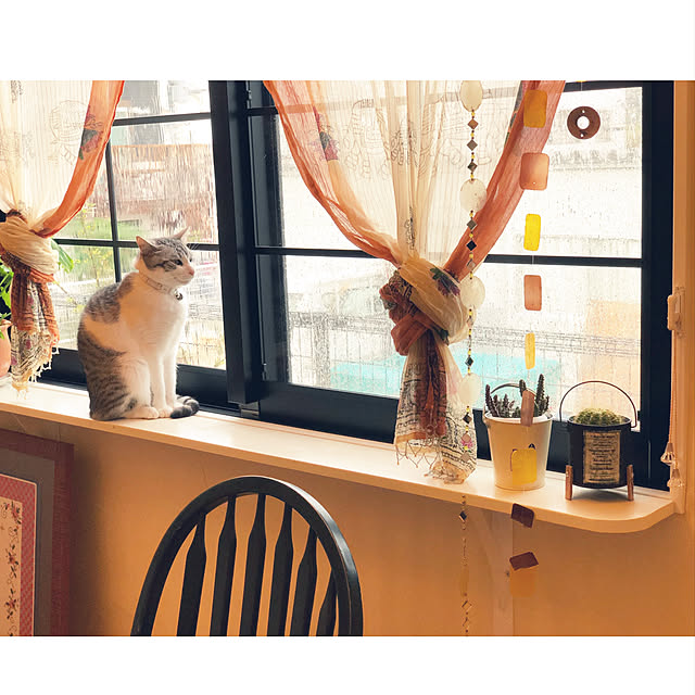 syungikuさんの実例写真