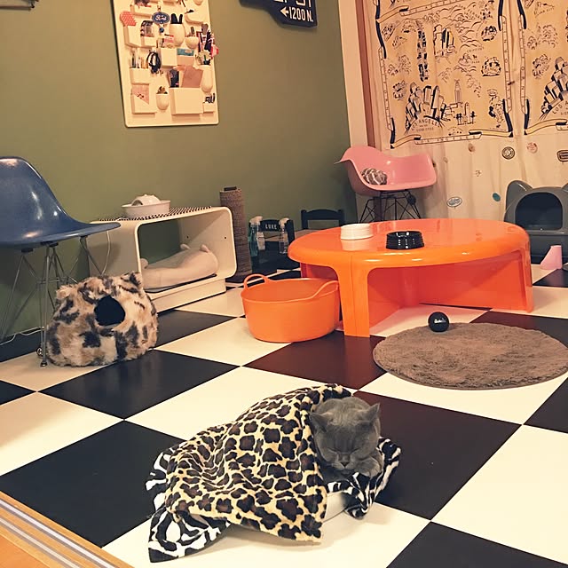Shojiさんの実例写真