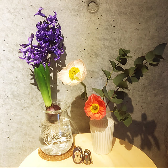 fantienさんの実例写真