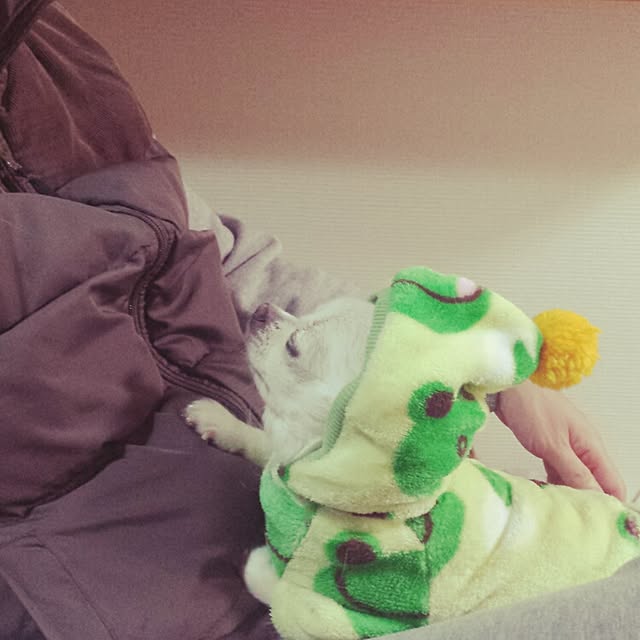 rorochimanさんの実例写真