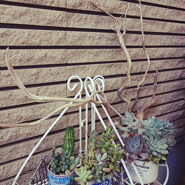 akr29さんの実例写真
